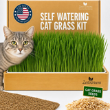 Zestl Greens Self Watering Cat Grass Kit with a live gray tabby cat peeking from the left side of the wooden tray, which is filled with green cat grass. The product box is brown cardboard with white text, and loose cat grass seeds are shown in the bottom right corner.
