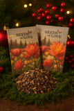 Two packages of 'Seeds of Love' with seeds on a decorative background with red berries and greenery.