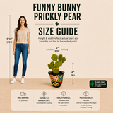 Funny Bunny Prickly Pear
