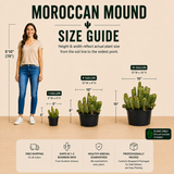 Moroccan Mound