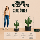 Cowboy Prickly Pear