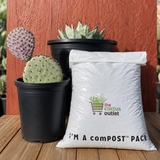 Cactus and Succulent Growers Soil