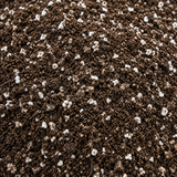 Cactus and Succulent Growers Soil