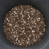 Cactus and Succulent Growers Soil
