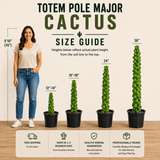 Totem Pole 'Major'