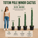 Totem Pole 'Minor'