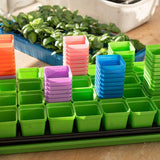 Colorful plastic seedling trays on a wooden surface with plants in the background.