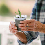 Person holding a small potted plant with a blurred background