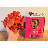 Hand holding a red mushroom-like object next to a 'Fungi Friends' mushroom growing kit box.