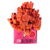 Cleopashrooma - Pink Oyster Mushroom Grow Kit  on a pink 'Fungi Friends' packaging