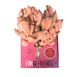 Packaged product of 'Fungi Friends' with pink packaging and mushroom-shaped contents on a white background.