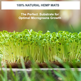 Microgreens growing on 100% natural hemp mats with text about optimal microgreens growth.