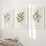 Three framed botanical prints on a wall with a neutral color scheme.