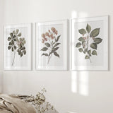 Three framed botanical prints on a wall with a neutral color scheme.