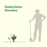Silhouette of a person next to a cactus with dimensions labeled on a white background