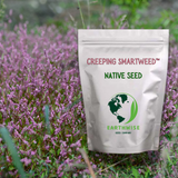 Bag of Creeping Smartweed native seed with Earthwise Seed Company logo in a field of purple flowers.