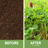 Crimson Clover + Mow Less Grass Seed