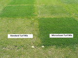 Comparison of Standard Turf Mix and Microclover Turf Mix on a grassy field.