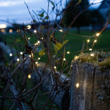 Solar Storybook Fairy String Lights (100 LEDs)
