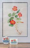 Framed botanical illustration of red flowers with matching coasters on a wooden surface.