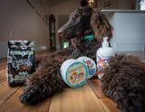Dog lying on a wooden floor with ROSEMARY MINT ARNICA SALVE 8 oz.