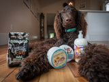 Brown dog lying on a wooden floor with SALTED ALMOND & ARNICA BATH SALTS 16 oz. OR 32 oz.