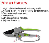 Gardening shears with labeled features on a white background