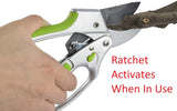 Hand holding a pair of pruning shears with a ratchet mechanism, cutting through a branch.