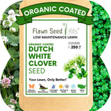 Dutch White Clover Seed
