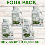 Four packs of Dutch White Clover Seed Kit on a wooden background with text indicating coverage and product name.
