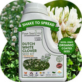 Flawn Seed Kits Dutch White Clover seed kit with greenery and clover flowers in the background