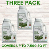 Three-pack of Dutch White Clover Seed Kit on a wooden background