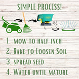 TRI-Color Clover + Mow Less Grass Seed