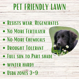 Advertisement for pet-friendly lawn with a black dog and text on a wooden background