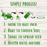 Bee Lawn Seed Kit - Easy Spread Shaker