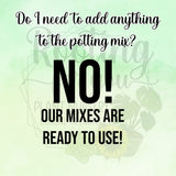 Hosta Premium Potting Mix