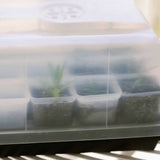 Propagation Kit | For Cuttings, Seedlings and More under a transparent cover