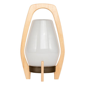 Drifter Lantern - Rechargeable Glass LED Lanterns - FREE SHIPPING