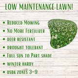 Advertisement for low maintenance lawn with text and a grassy area on a wooden background