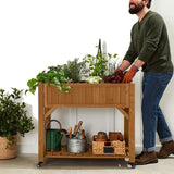Outdoor Elevated Raised Garden Bed Planter Box with Locking Wheels - FREE SHIPPING