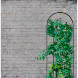 Outdoor 80-inch Tall Garden Trellis in Black Powder Coated Steel Finish - FREE SHIPPING