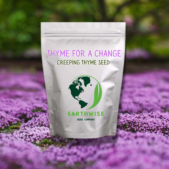 Seed packet for creeping thyme with 'Earthwise Seed Company' branding on a background of purple flowers.