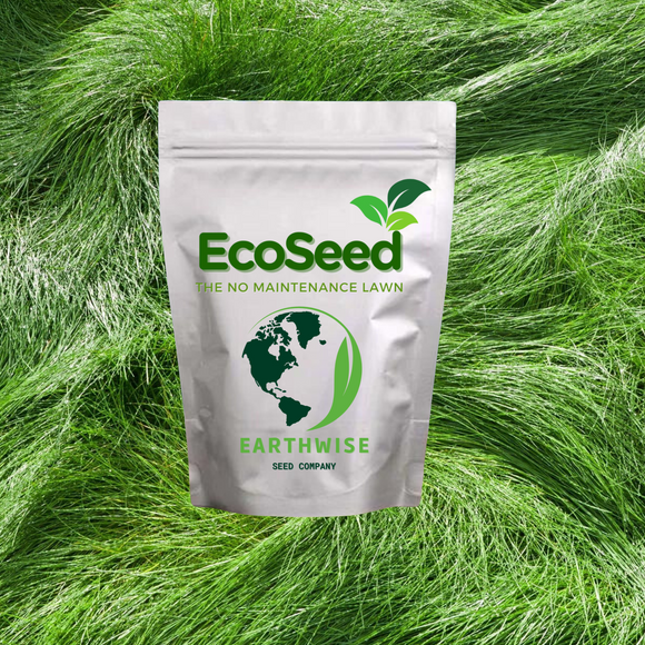 EcoSeed package on a background of green grass EcoSeed - The No Maintenance Lawn, Fine Fescue Lawn Mix, Eco-Friendly Grass
