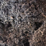 Ready-to-Go Ecosystem with Esienia fiteda composting worms