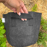 Ready-to-Go Ecosystem with Esienia fiteda composting worms