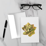 Noble Aeonium Succulent Greeting Card – Blank Inside With Envelope
