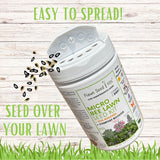 Lawn seed kit with seeds spilling out on a wooden background