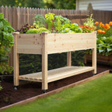 Outdoor Wood Raised Garden Bed Planter Box Cart on Wheels 46-inch x 22-inch - FREE SHIPPING
