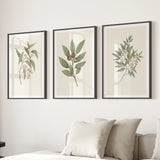 Three framed botanical prints on a wall above a sofa.