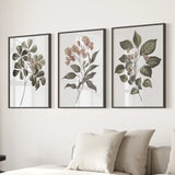Three framed botanical prints on a wall above a sofa.